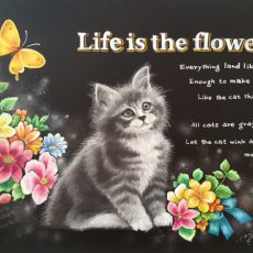 Life is the flower（猫）